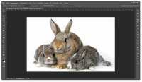Adobe Photoshop CC v 14.1.1 RePack by JFK2005 Upd. 17.09.13 ML