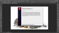 Adobe Photoshop CC v 14.1.1 RePack by JFK2005 Upd. 17.09.13 ML