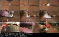 ��������� ������. 10 ����������� (2010-2013/WEBRip) MP4, FLV