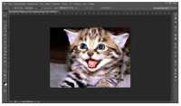 Adobe Photoshop CS6 Extended v 13.0.1.2 + Plugins Portable by nikozav ML