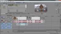 ����������� � SONY VEGAS PRO. ���������������� ������ (2013) ���������