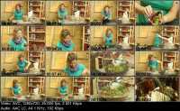 ��������. ���������� �������� (2013) WEBRip