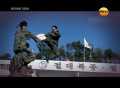 ������� ����� (���� �� 11.11.2013) SATRip