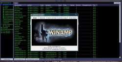 Winamp Pro  5.66 build 3512
