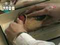 ��� ������. ������������� ���� (23.12.2013) SATRip