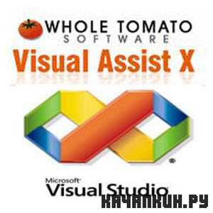 Visual Assist X 10.8.2023 [En]