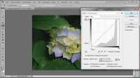 ����������� Photoshop (2013) ���������