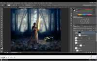 ���-�������� "Photoshop-Professional" (2012)